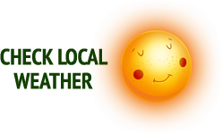Check Farnborough Weather Forecast
